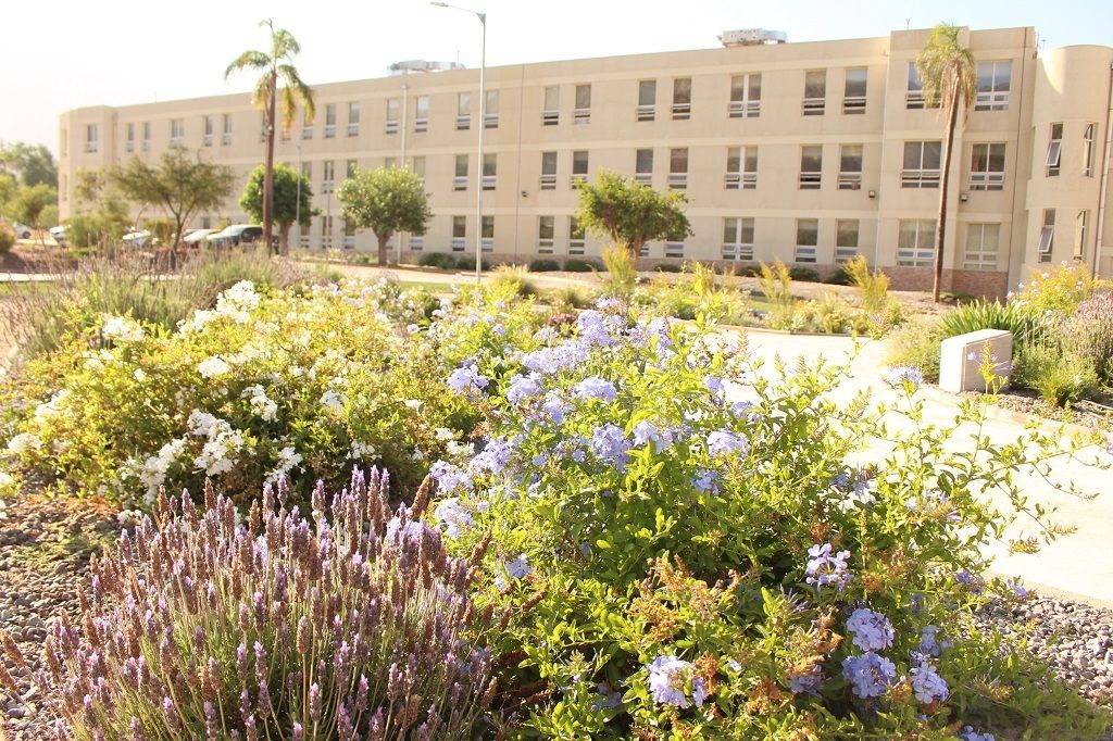 1PRESENTACION EN EL CONSEJO REGIONAL HPPP 1PRESENTACION EN EL CONSEJO REGIONAL HPPP