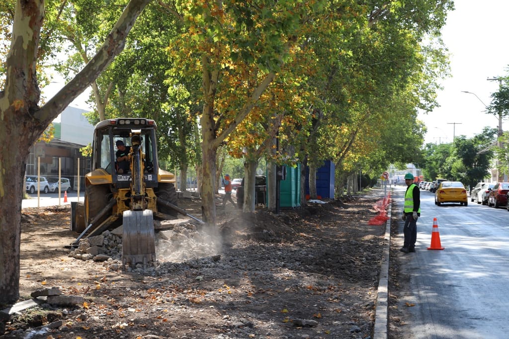 reduccion areas verdes reduccion areas verdes