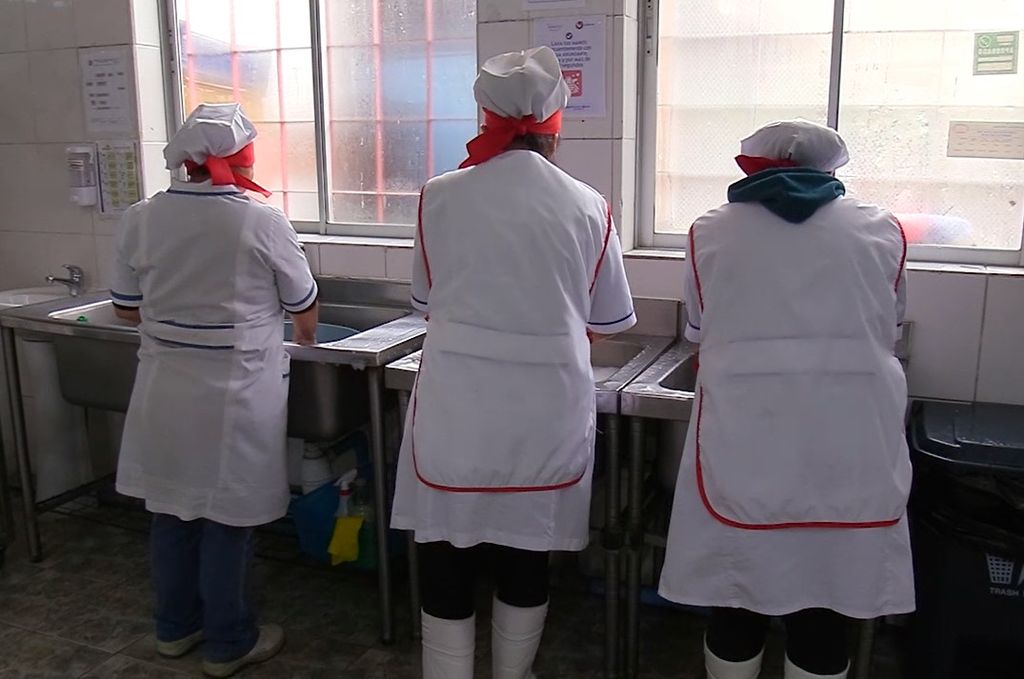 MANIPULADORAS DE ALIMENTOS MANIPULADORAS DE ALIMENTOS