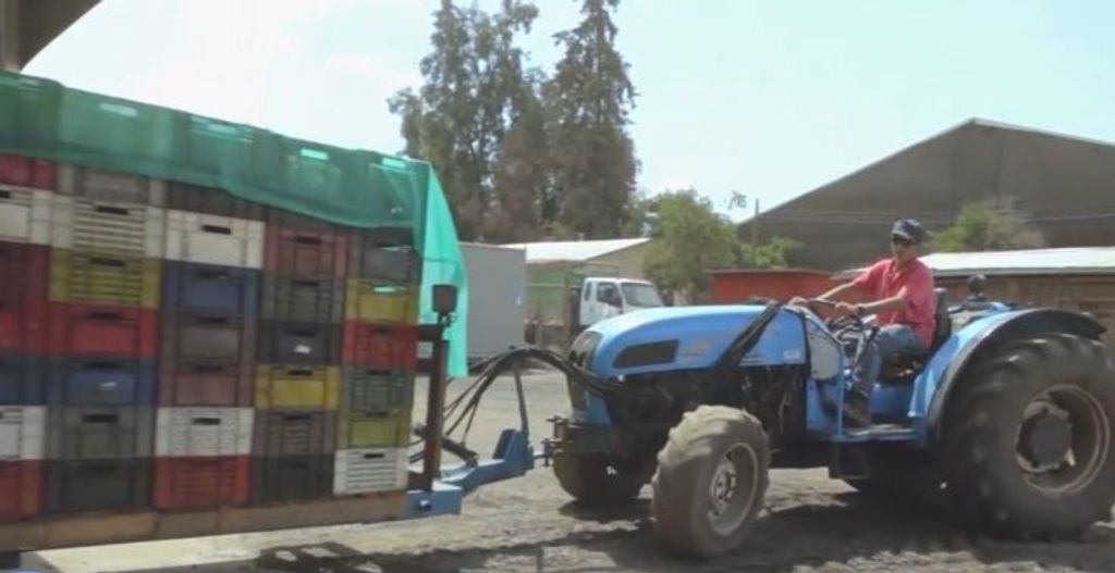 JOVENES RURALES JOVENES RURALES