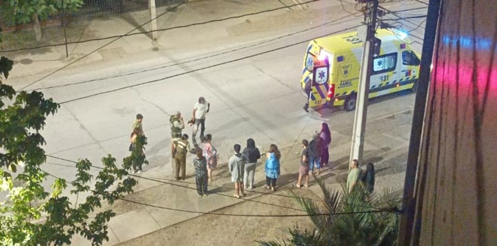 1ATAQUE DE PERROS (1) 1ATAQUE DE PERROS (1)