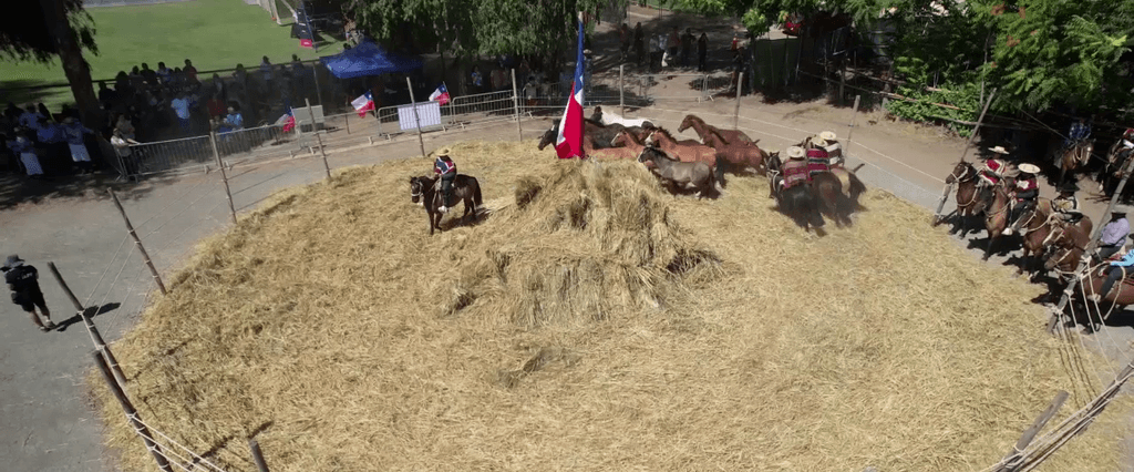 vlcsnap-2024-01-22-21h27m06s656 vlcsnap-2024-01-22-21h27m06s656