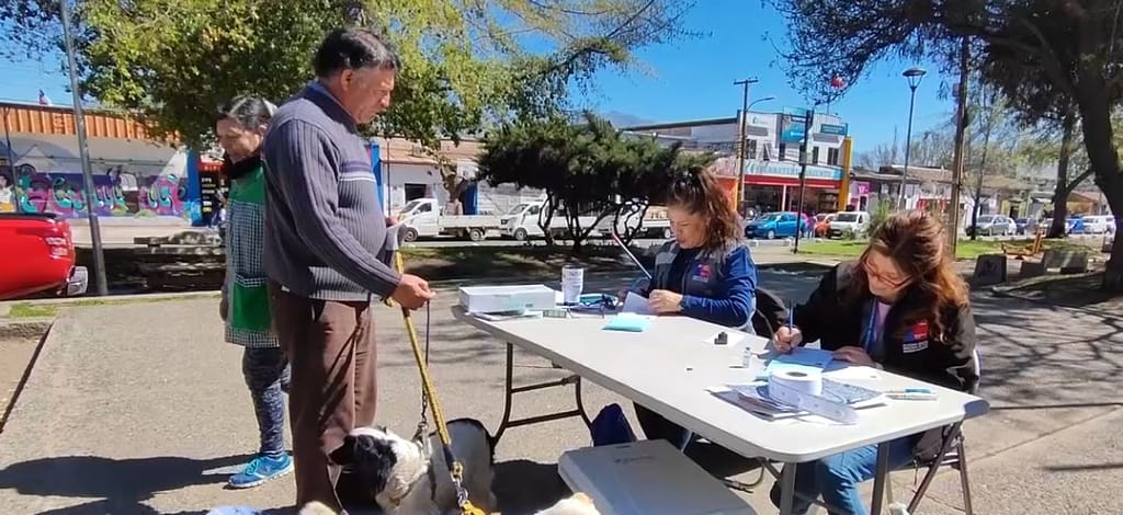 vacunacion antirabica vacunacion antirabica