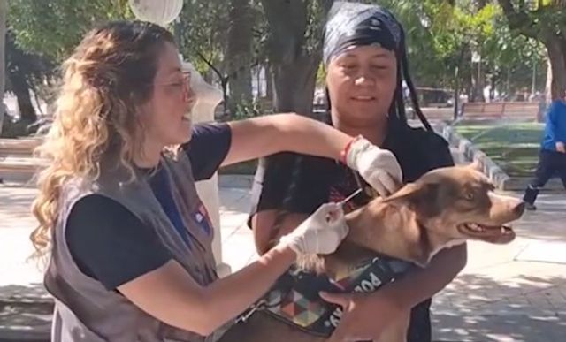 VACUNACIÓN VACUNACIÓN