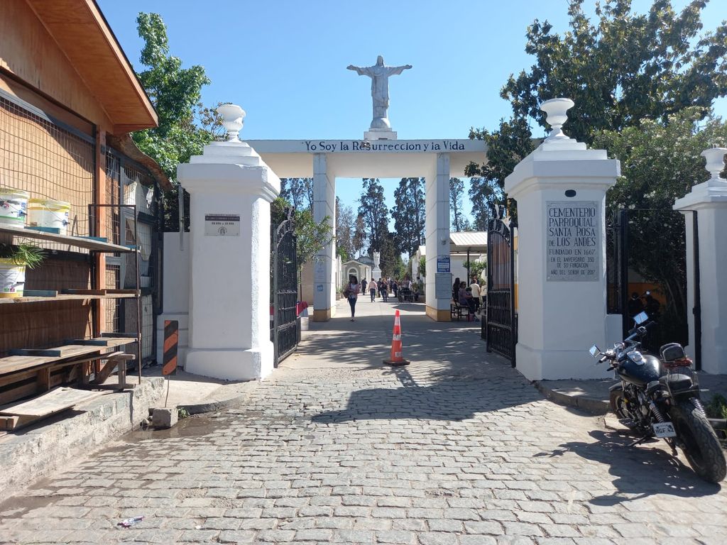 WhatsApp Image 2024-10-30 at 1 WhatsApp Image 2024-10-30 at 1