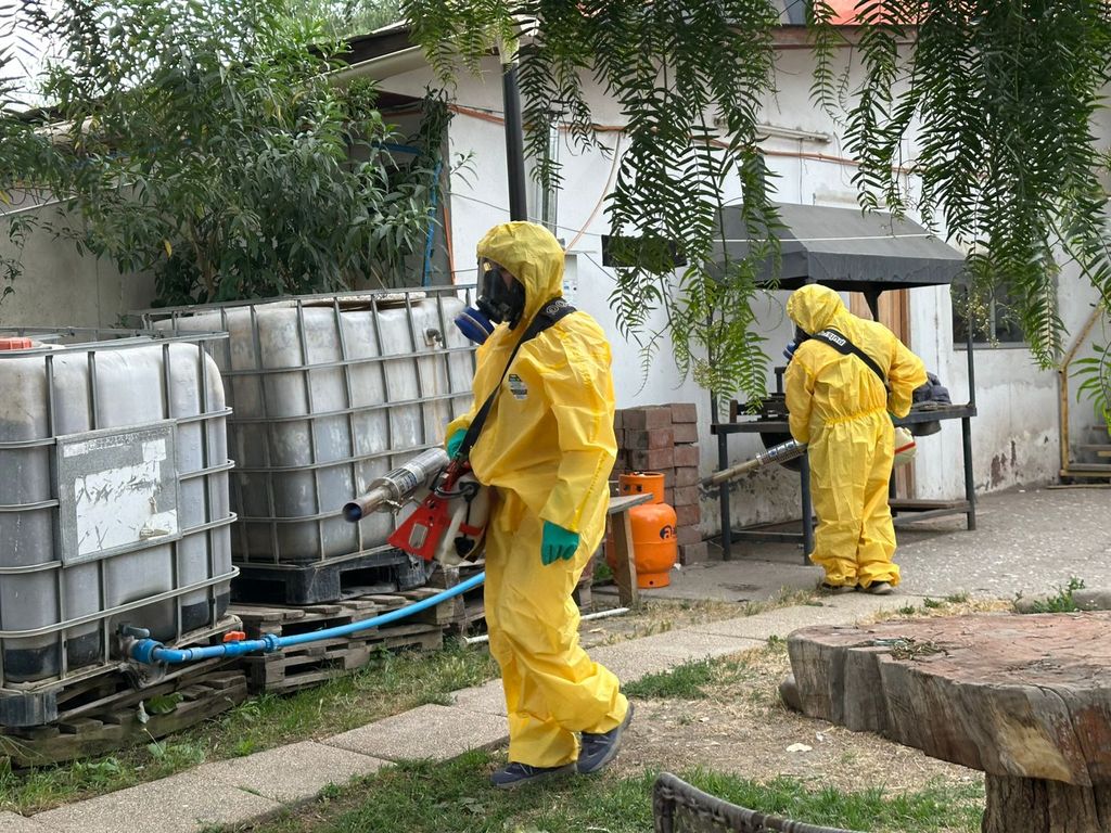 WhatsApp Image 2026-01-09 at 12 WhatsApp Image 2026-01-09 at 12