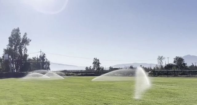 NUEVAS CANCHAS NUEVAS CANCHAS