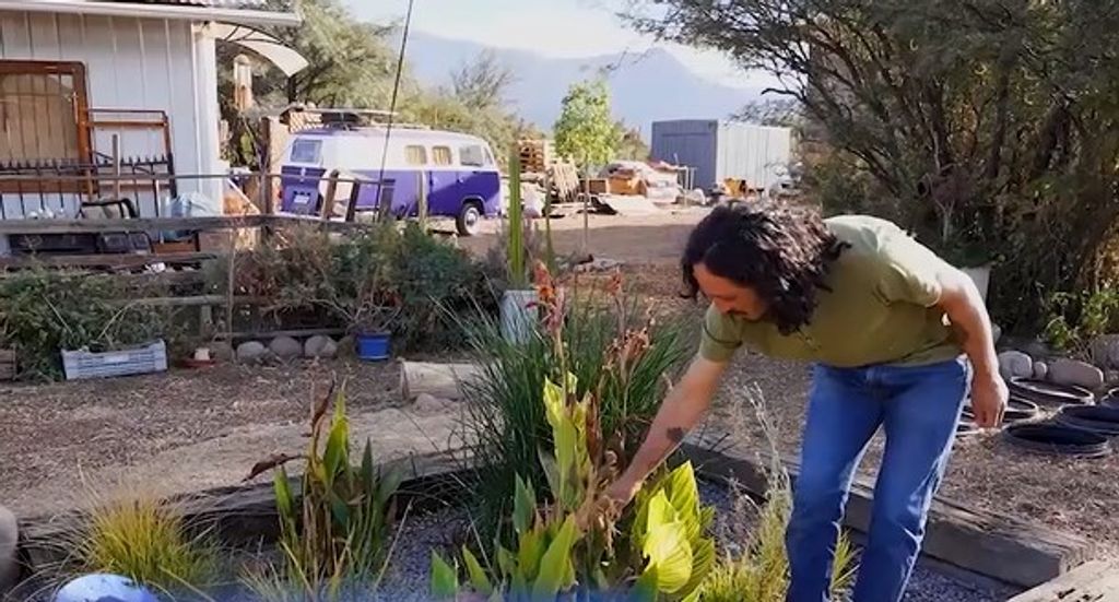 MIGRACIÓN RURAL MIGRACIÓN RURAL