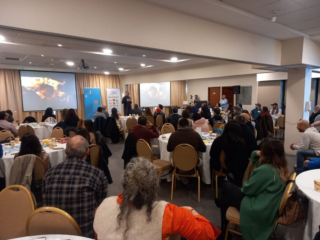 1SEMINARIO REDES IMPROBABLES 1SEMINARIO REDES IMPROBABLES