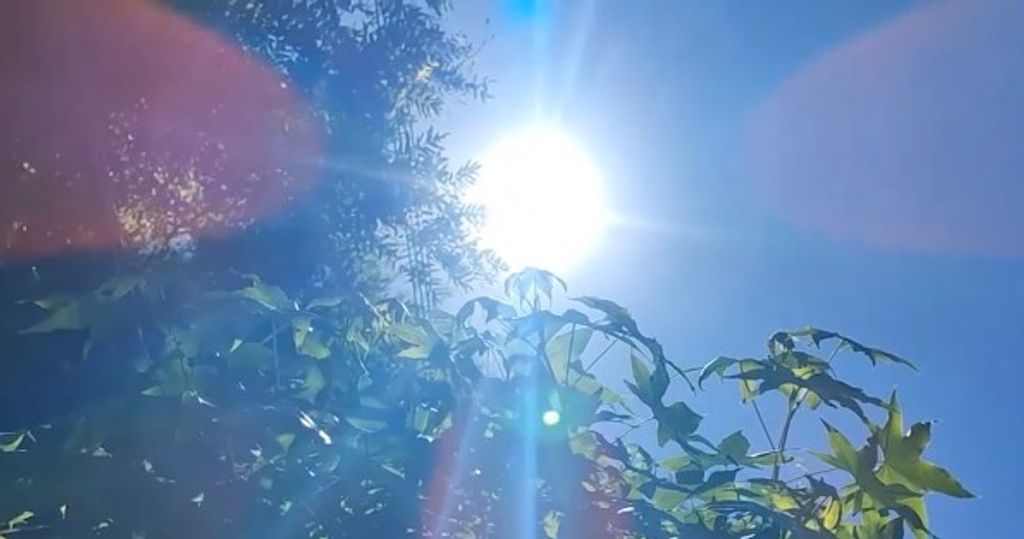 OLA DE CALOR OLA DE CALOR