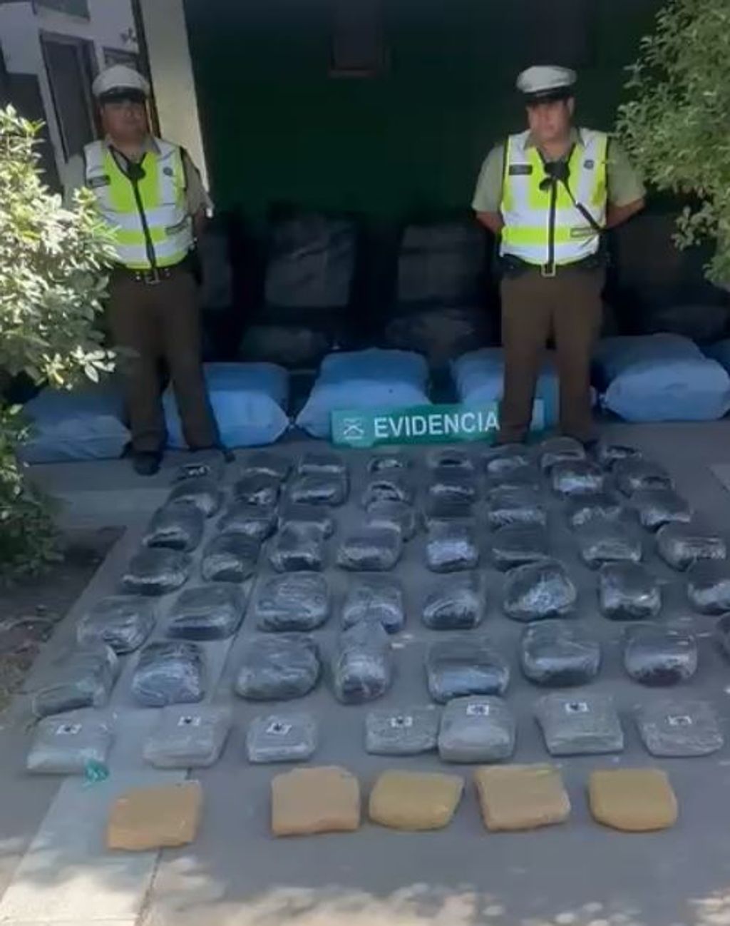 WhatsApp Image 2025-12-29 at 18 WhatsApp Image 2025-12-29 at 18