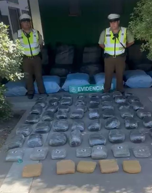 WhatsApp Image 2025-12-29 at 18 WhatsApp Image 2025-12-29 at 18