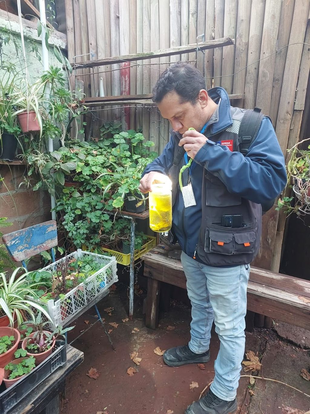 DENGUE DENGUE