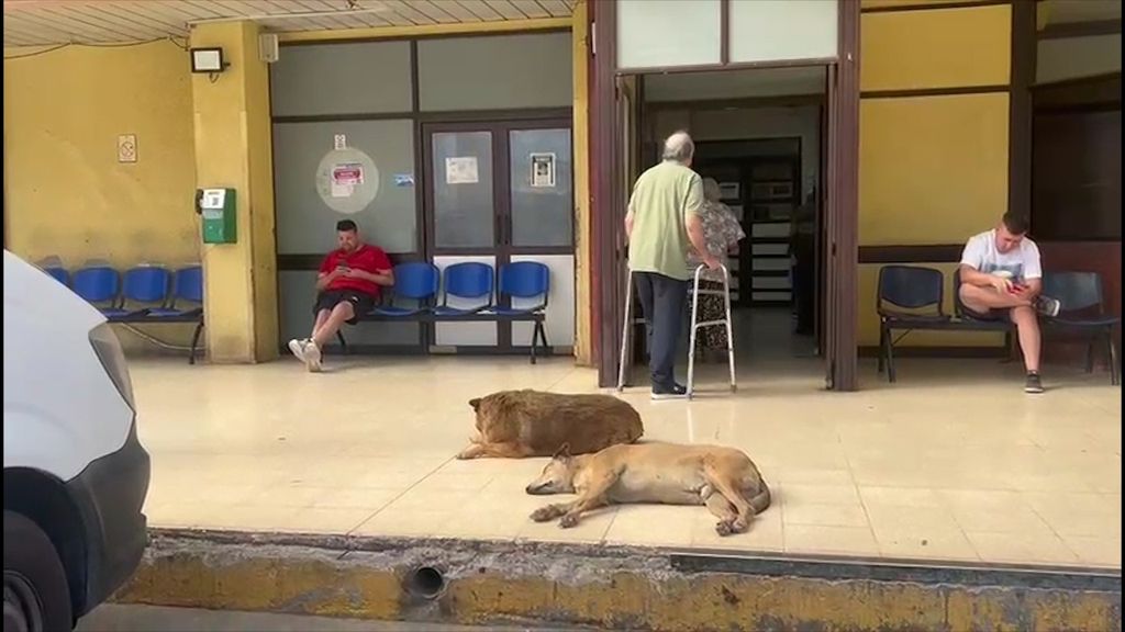 WhatsApp Image 2026-01-16 at 18 WhatsApp Image 2026-01-16 at 18