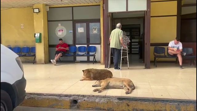 WhatsApp Image 2026-01-16 at 18