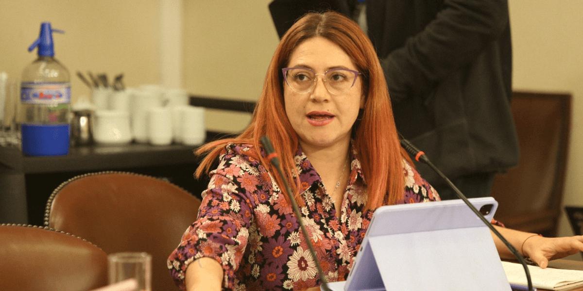 Diputada Francisca Bello defiende resguardos ambientales en debate por Ley Miscelánea del Gobierno