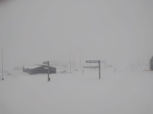 LOS LIBERTADORES LOS LIBERTADORES