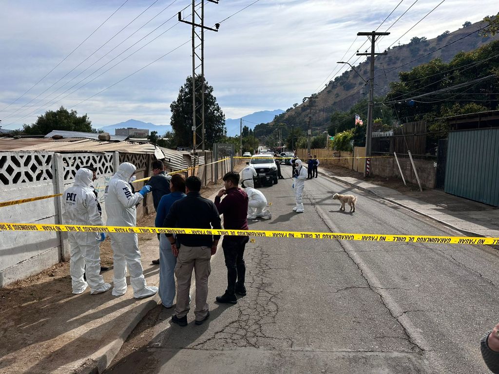 WhatsApp Image 2025-03-31 at 11 WhatsApp Image 2025-03-31 at 11