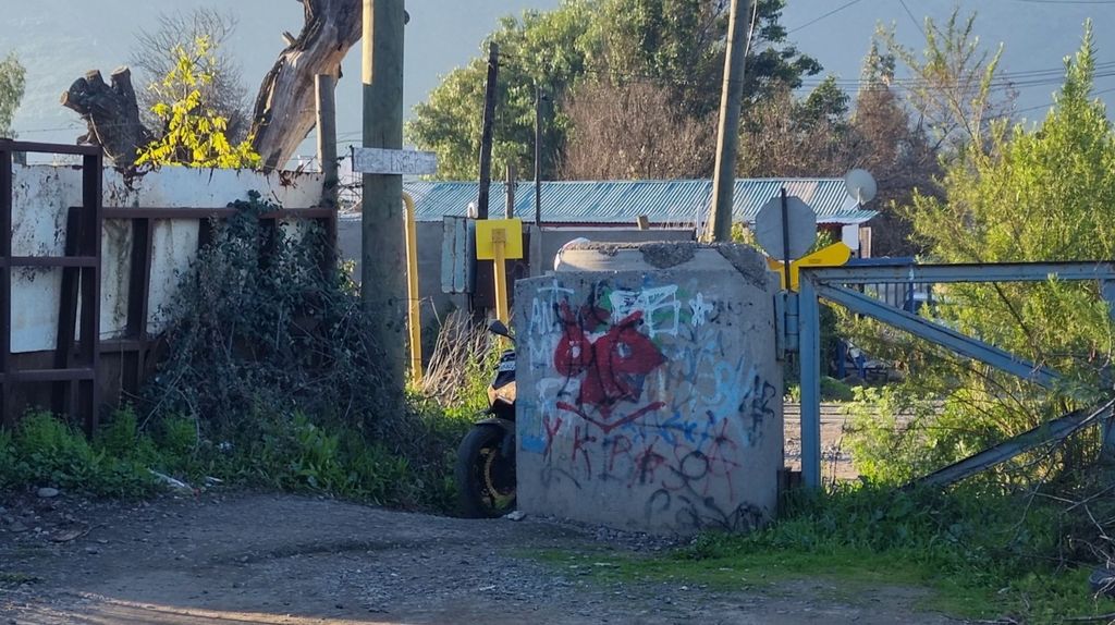 WhatsApp Image 2024-08-09 at 9 WhatsApp Image 2024-08-09 at 9