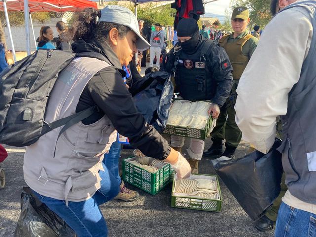 PHOTO-2026-04-13-11-38-52