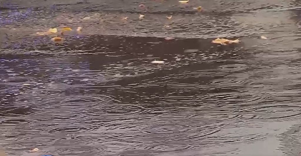 sistema frontal sistema frontal