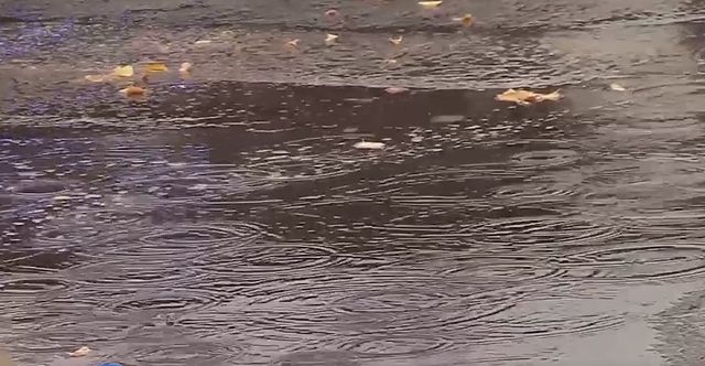 sistema frontal sistema frontal