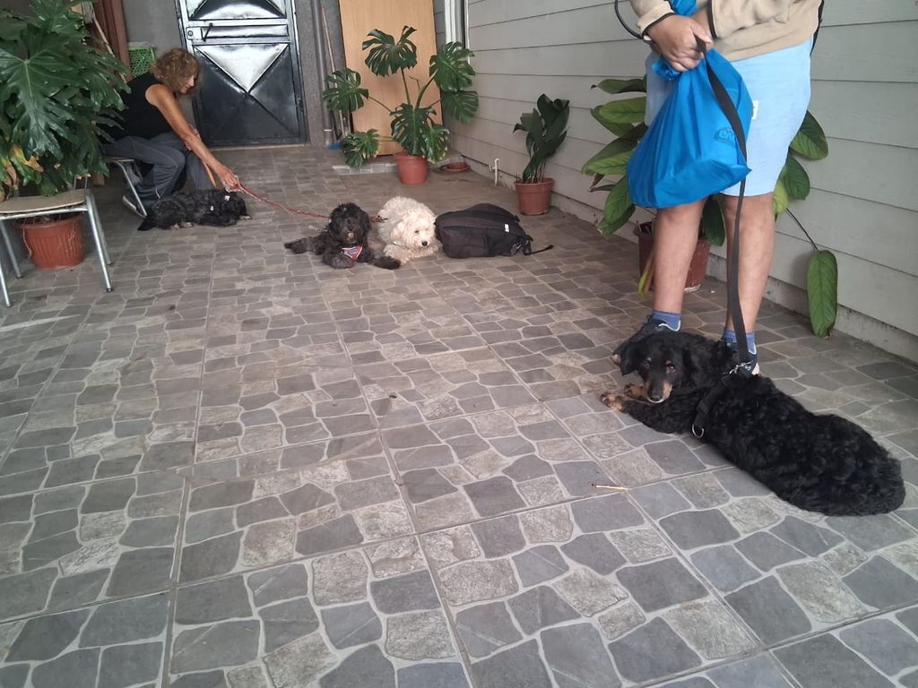 PHOTO-2026-03-10-11-15-06 2 PHOTO-2026-03-10-11-15-06 2