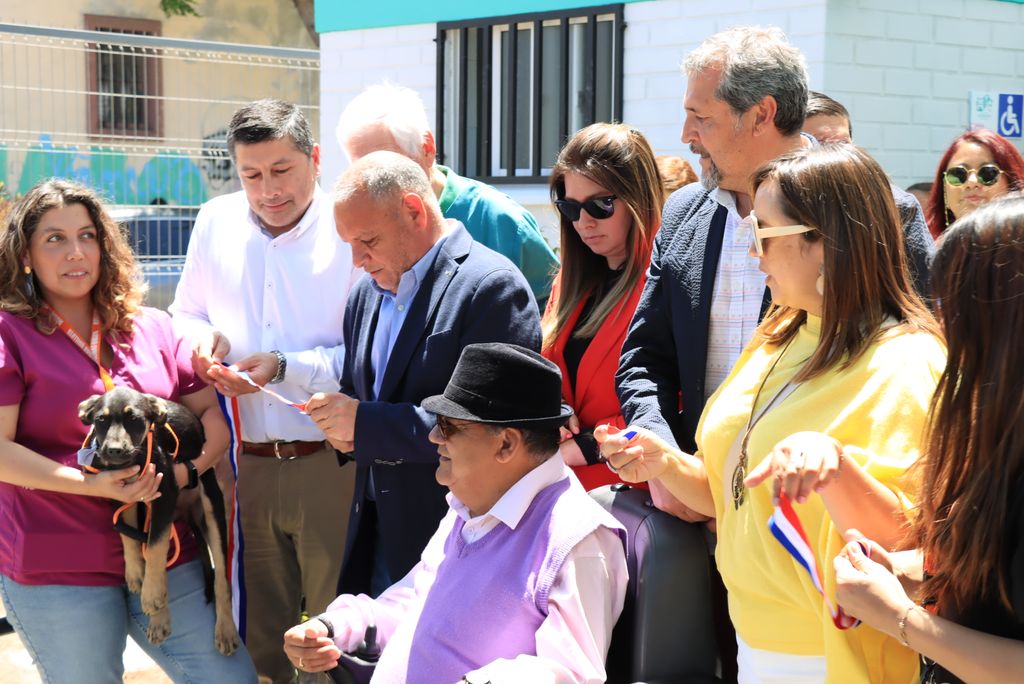 veterinaria veterinaria