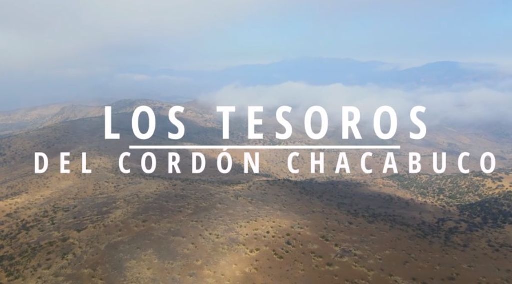 WhatsApp Image 2026-03-20 at 17 WhatsApp Image 2026-03-20 at 17