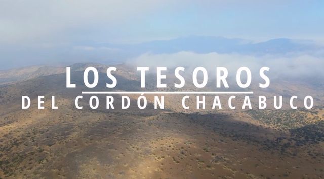 WhatsApp Image 2026-03-20 at 17 WhatsApp Image 2026-03-20 at 17