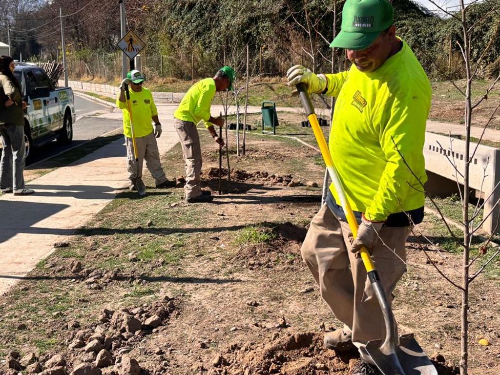 calle larga calle larga