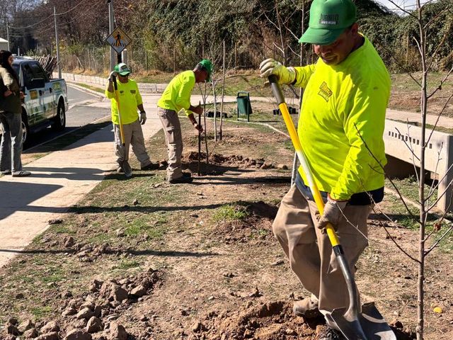 calle larga calle larga