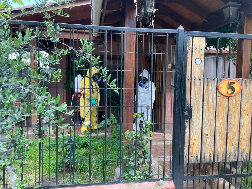 FUMIGACIÓN AEDES AEGYPTI FUMIGACIÓN AEDES AEGYPTI