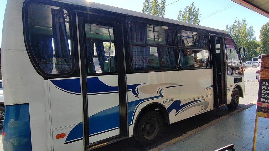 buses puma buses puma