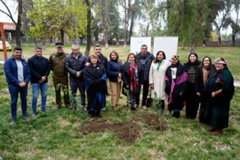 IMG La Ermita IMG La Ermita