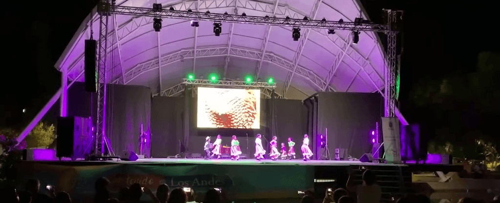 artistas locales artistas locales