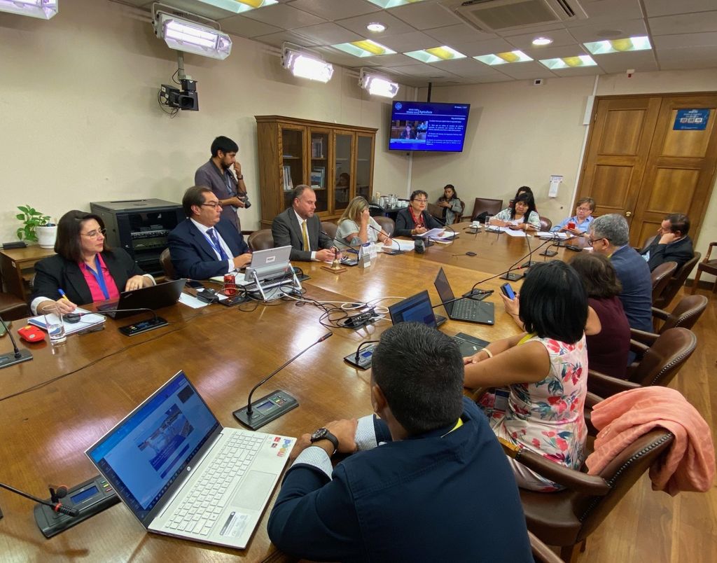 DIPUTADA MARZAN DIPUTADA MARZAN