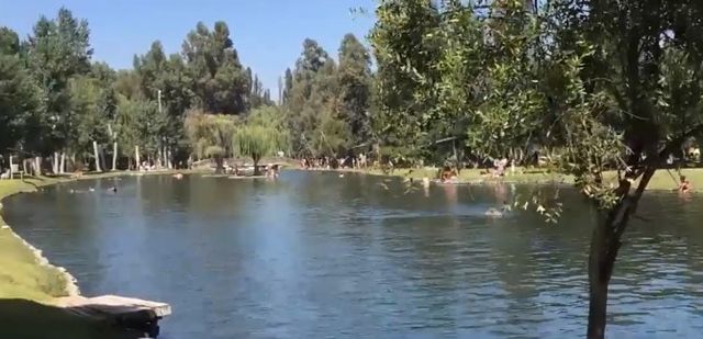 MANANTIALES MANANTIALES