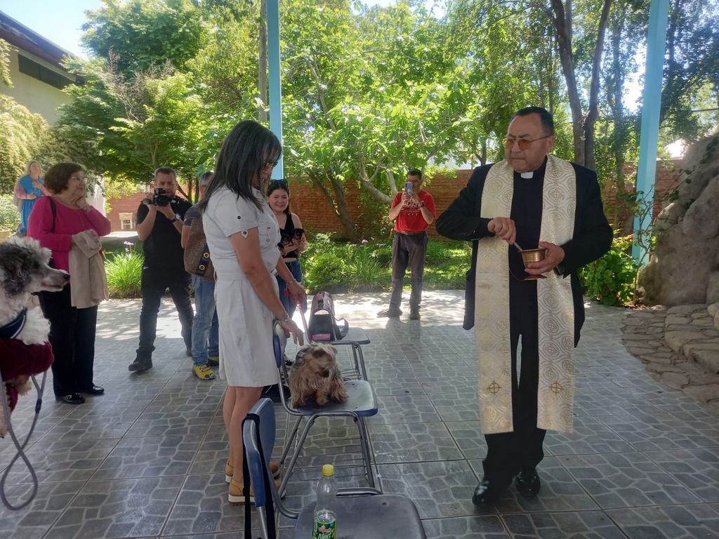 WhatsApp Image 2024-10-04 at 6 WhatsApp Image 2024-10-04 at 6