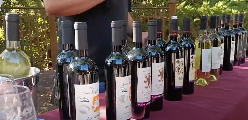 WINE FEST WINE FEST