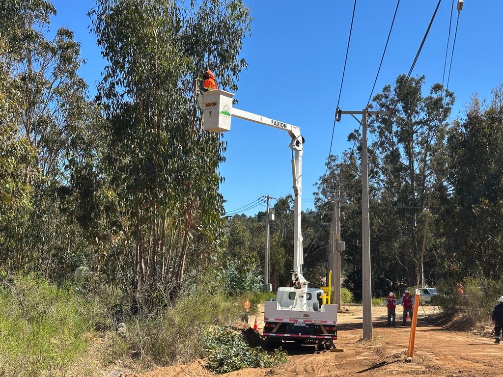 WhatsApp Image 2025-01-29 at 12 WhatsApp Image 2025-01-29 at 12