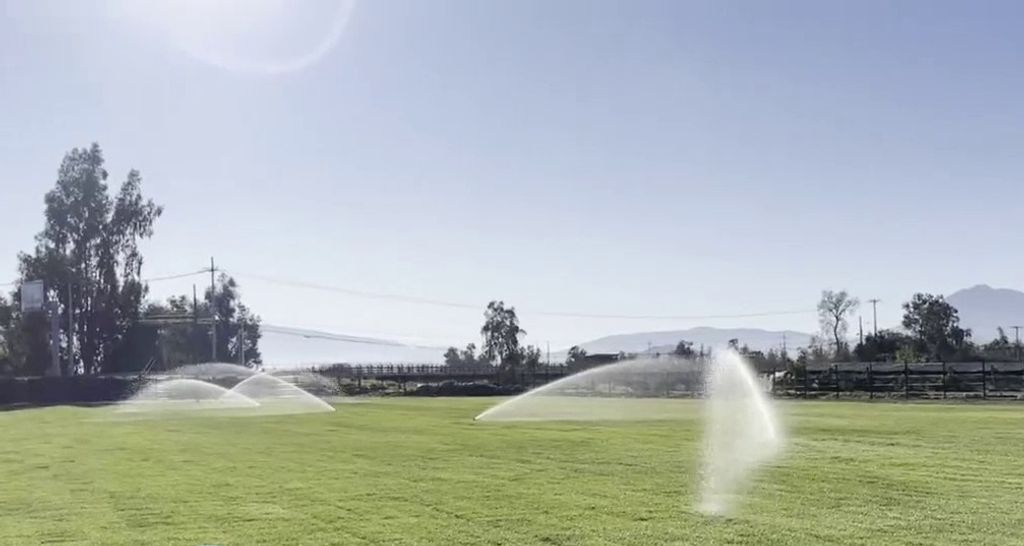 NUEVAS CANCHAS NUEVAS CANCHAS