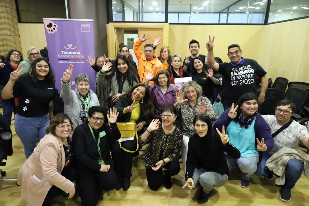 ley cholito ley cholito