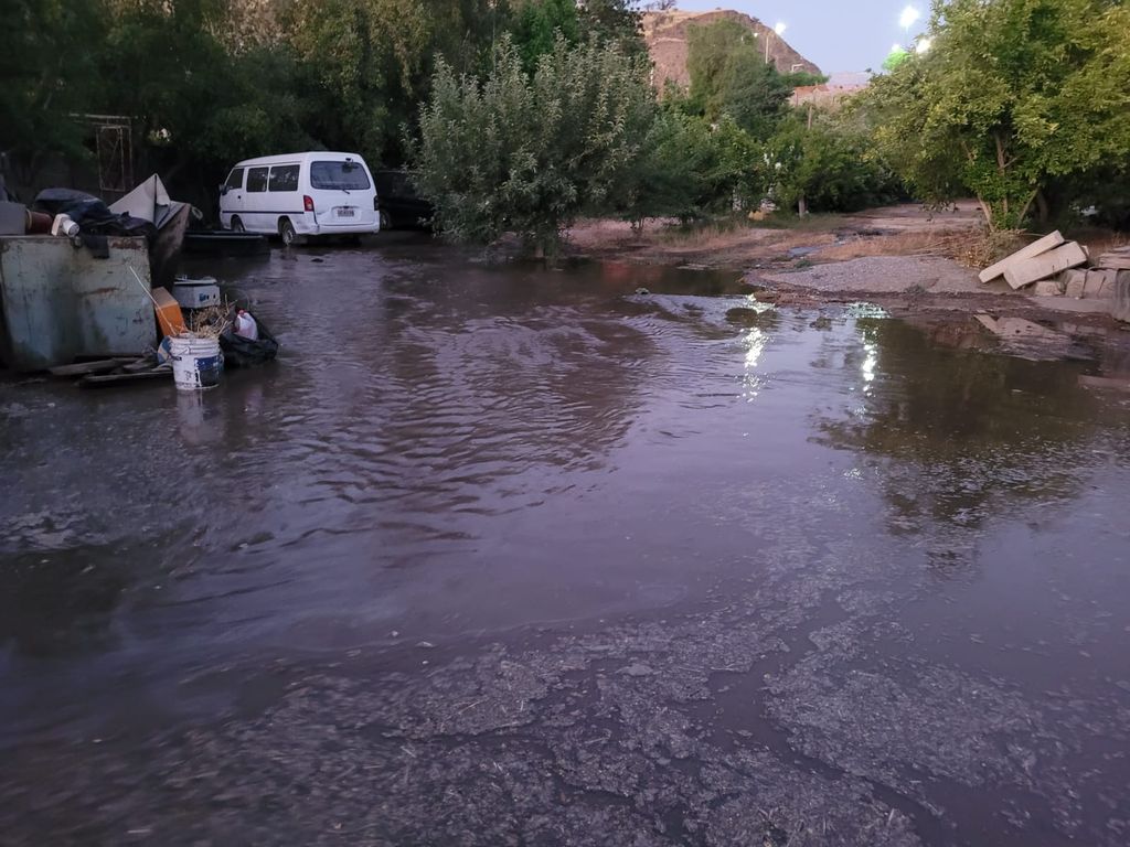 c00c074e-cf0b-4ff2-ae53-e37593c023d9 c00c074e-cf0b-4ff2-ae53-e37593c023d9