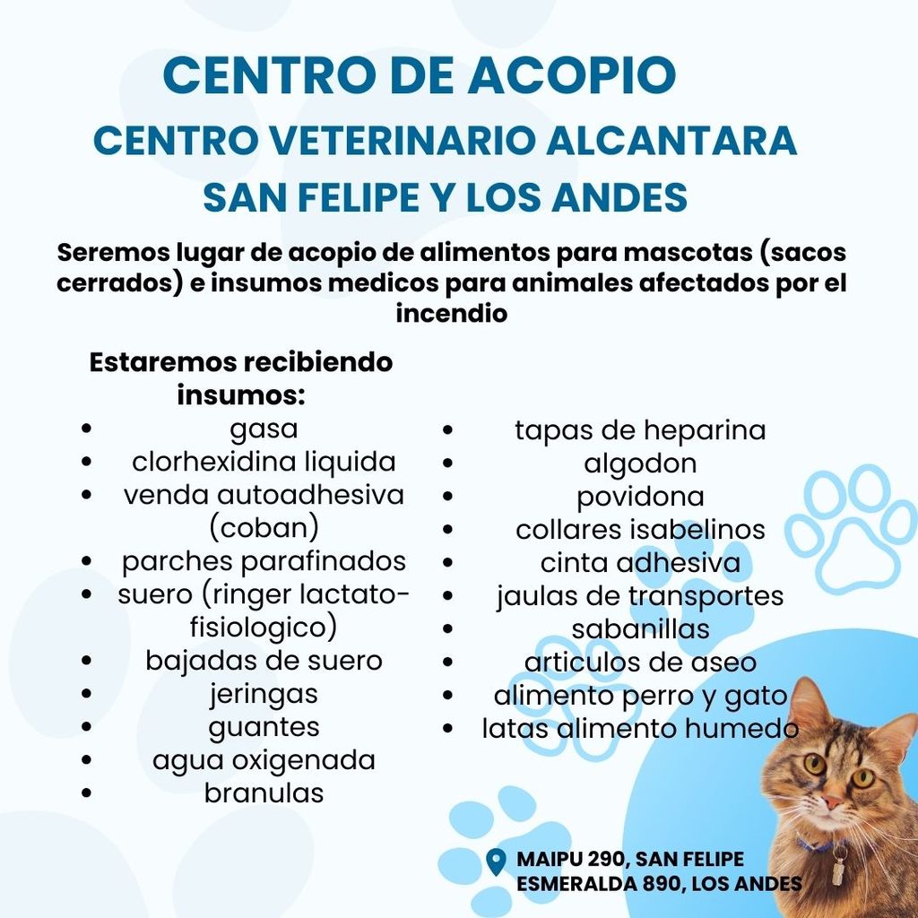 1CAMPAÑA VETERINARIOS 1CAMPAÑA VETERINARIOS