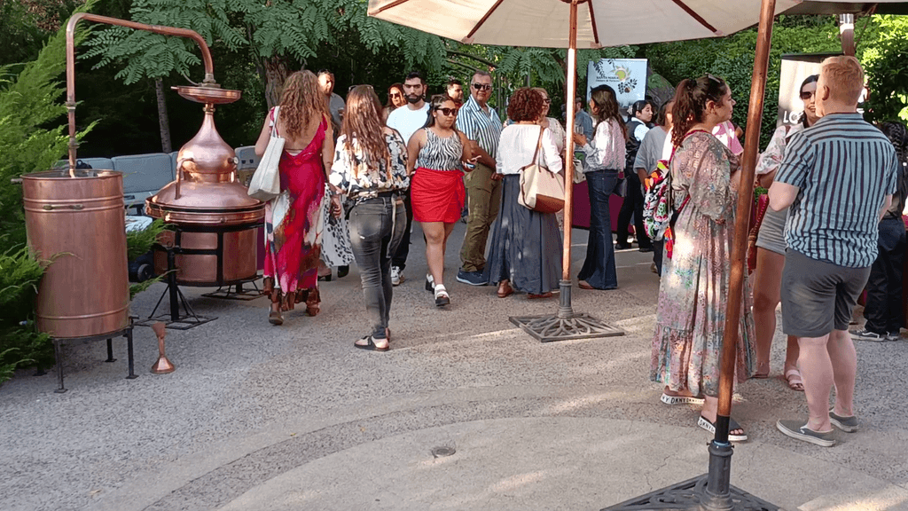 1ACONCAGUA WINE (3) 1ACONCAGUA WINE (3)