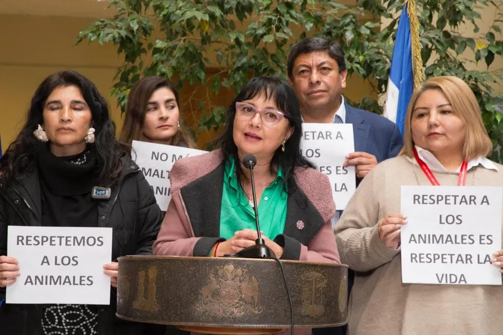 Piden urgencia para proyecto que crea Registro Nacional de Maltratadores de animales y aumenta penas por este delito Piden urgencia para proyecto que crea Registro Nacional de Maltratadores de animales y aumenta penas por este delito