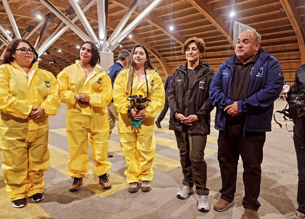 FUMIGACIÓN FUMIGACIÓN