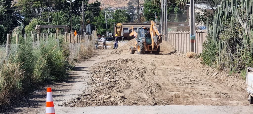 WhatsApp Image 2025-02-04 at 10 WhatsApp Image 2025-02-04 at 10