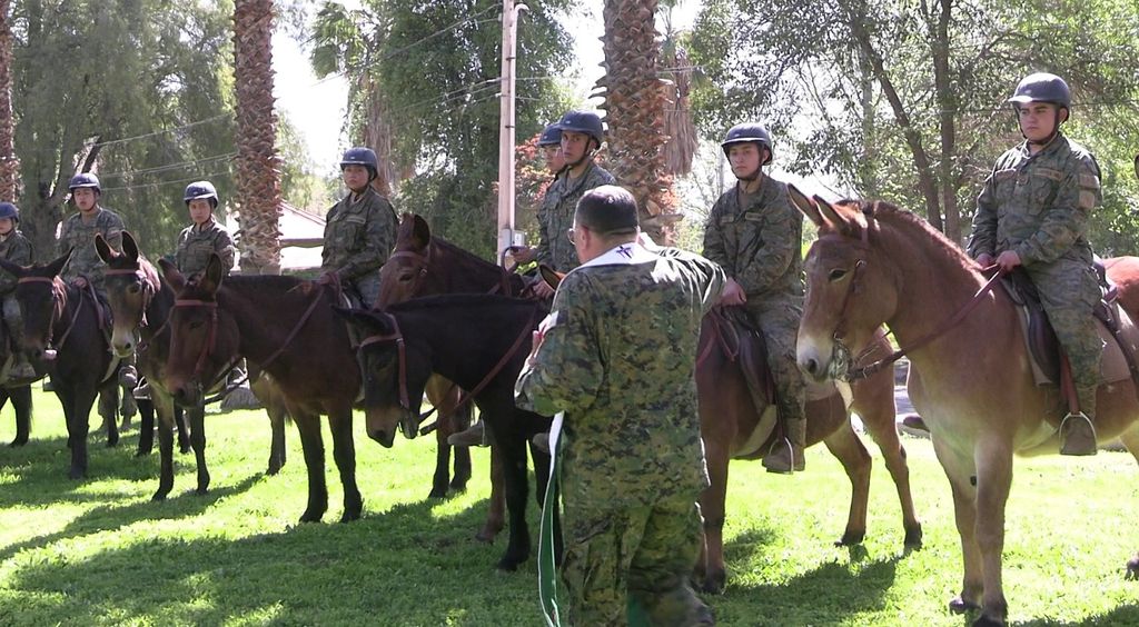 SAN FRANCISCO EN DESTACAMENTO (2) SAN FRANCISCO EN DESTACAMENTO (2)